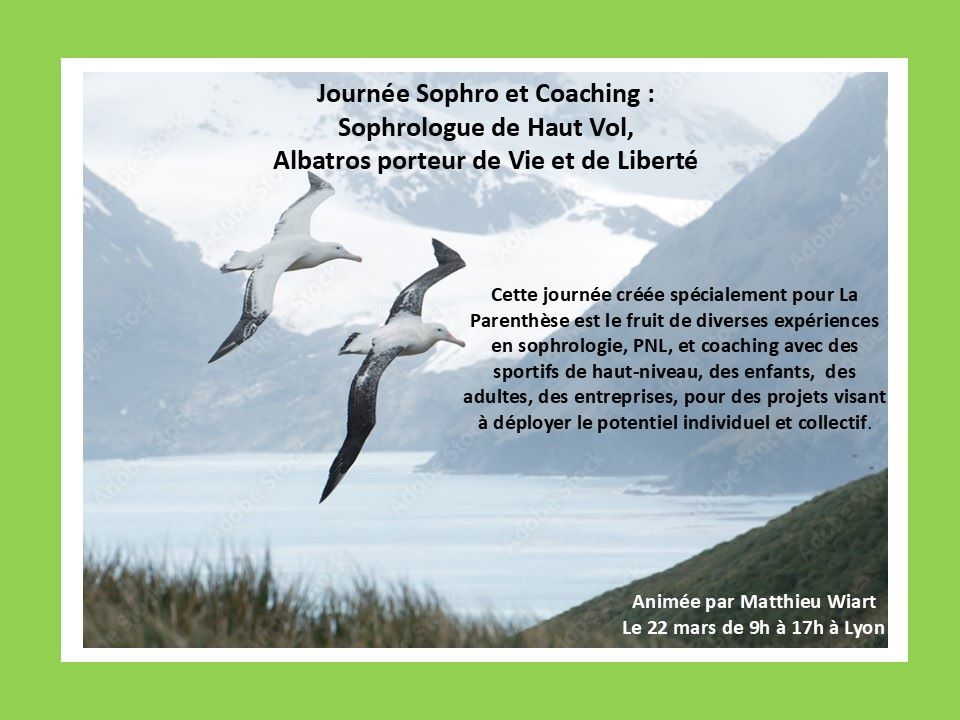 Sophrologue de Haut Vol, Albatros porteur de Vie et de Liberté